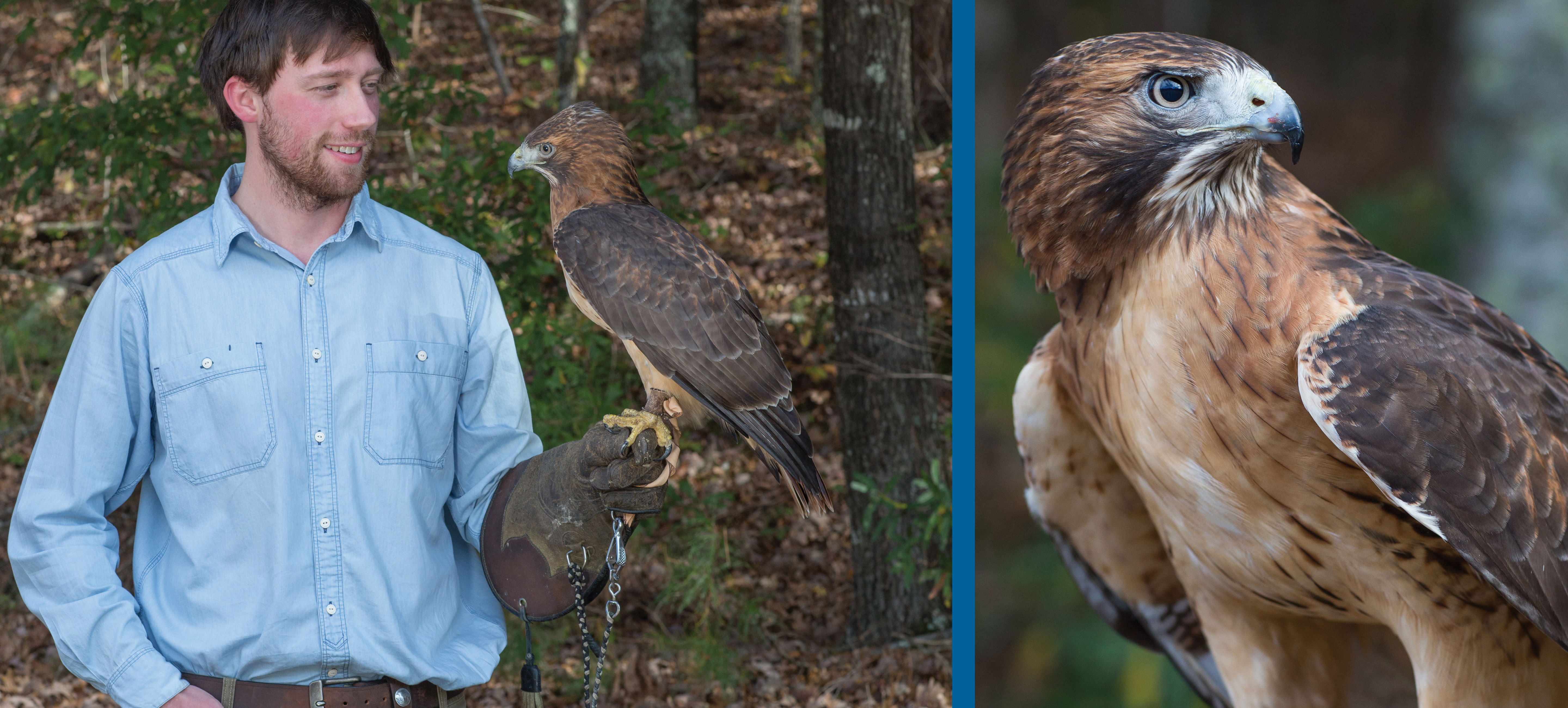 student with hawk